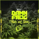 Damn Frog Ft. MC Ceja - Kush and Sour MP3